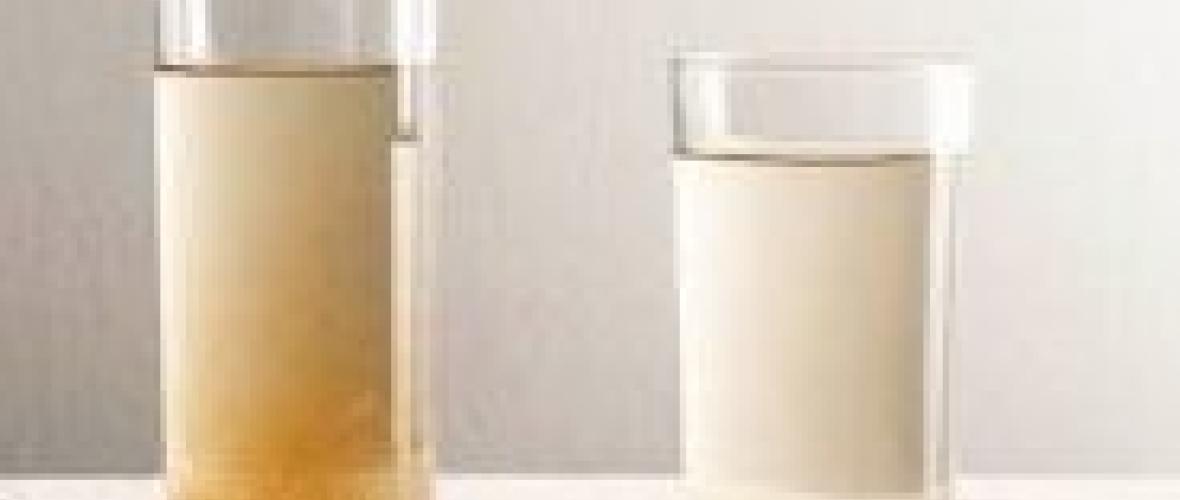 La Plata: denuncian que el agua sale marrón en varios barrios y crece el malestar con ABSA