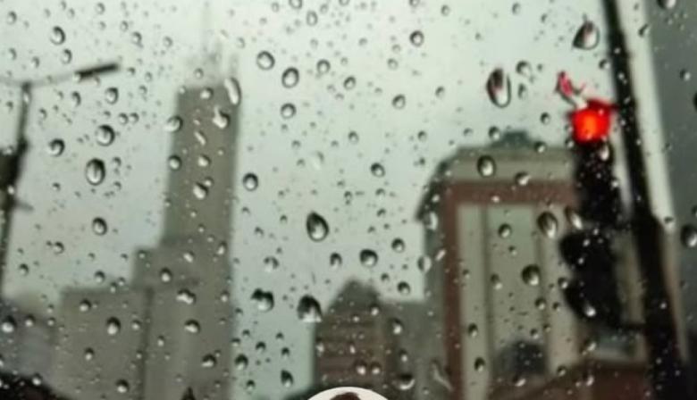 Clima en La Plata hoy: sube la humedad y hay probabilidad de lluvias y tormentas