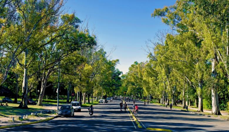 Clima en La Plata: jueves otoñal con 26°C y sin lluvias