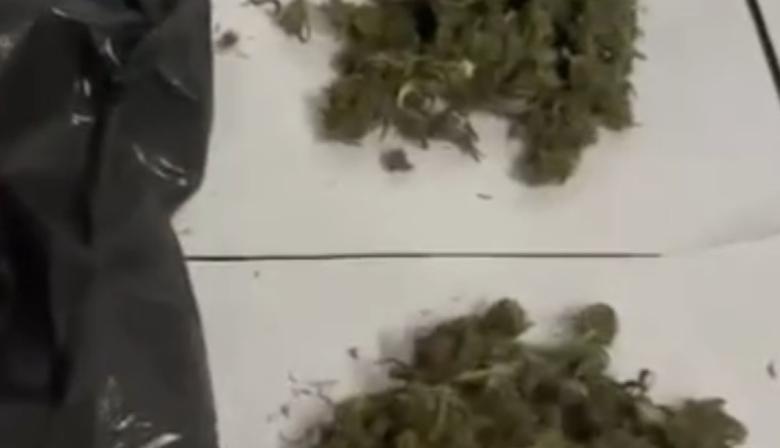 La Plata: demoraron a dos adolescentes tras encontrar 200 gramos de marihuana en una mochila