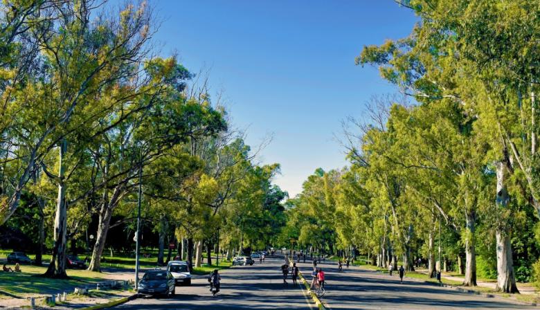 Clima en La Plata: viernes agradable, sábado estable y domingo con viento fuerte
