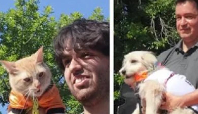 Plaza Azcuénaga fue escenario de una pasarela canina solidaria para fomentar la adopción