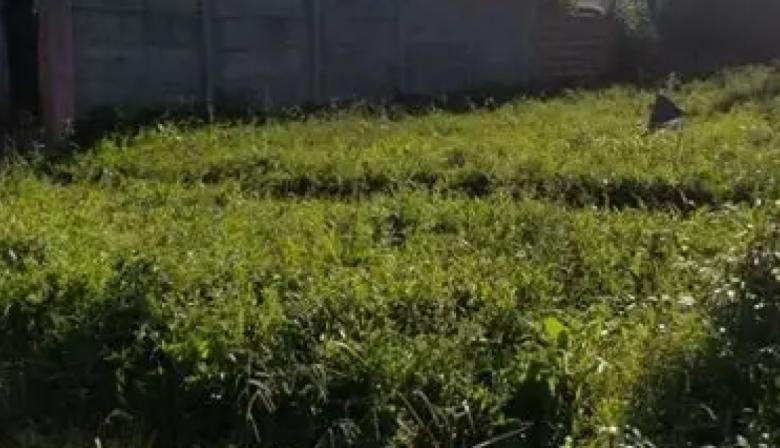 A un año de la ordenanza, los loteos ilegales siguen siendo un problema en La Plata