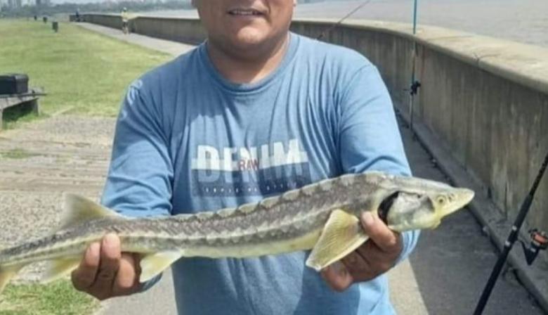 Alerta por esturiones en Punta Lara: científicos piden a pescadores que colaboren con la investigación