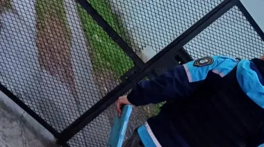 Indignación en Melchor Romero: golpeó brutalmente a su perro y quedó imputado