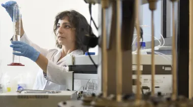 Investigadores de la UNLP venden tortas para financiar su misión arqueológica en Egipto