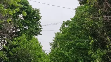 Lunes nublado y ventoso en La Plata: cómo estará el tiempo hoy