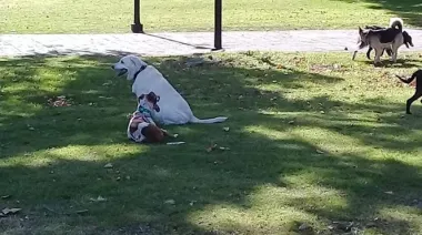 Martes templado y agradable en La Plata: cómo estará el tiempo hoy