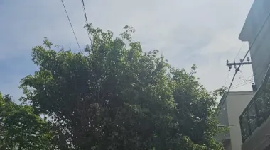 Martes nublado y con viento en La Plata: sin clases en la UNLP, cambios en el Tren Roca y simulacros de Boleta Única