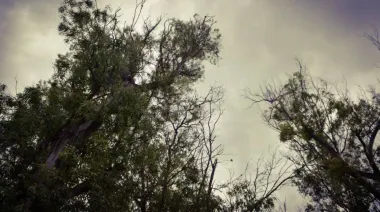 Miércoles caluroso y nublado en La Plata: se esperan chaparrones por la tarde