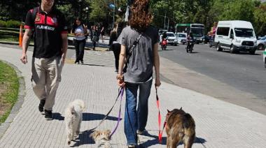 Comienza una semana de calor en La Plata: lunes templado y cielo algo nublado