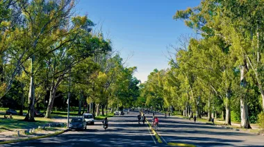 La Municipalidad evalúa cerrar el Bosque de La Plata por las noches para mejorar la seguridad