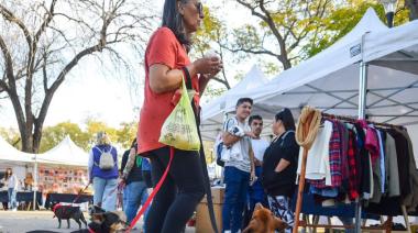 Se realiza el 2º Desafío Canino en Plaza Belgrano a beneficio de animales rescatados