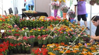 Vuelve “La Plata en Flor 2025”: tres días de flores, música y gastronomía en Plaza Moreno