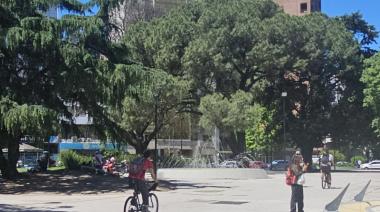 Miércoles agradable en La Plata: mejora el clima tras las lluvias