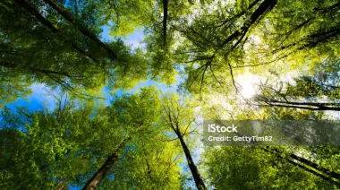 Viento del este en La Plata durante casi toda la semana: cómo afectará al clima en la región