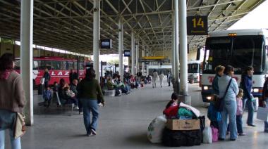 La Plata licita el mantenimiento del Cementerio y la Terminal: plazos, montos y cómo participar