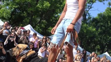 Desfile de mascotas gratis en La Plata: cuándo es y todo lo que habrá