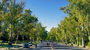 Clima en La Plata: viernes agradable, sábado estable y domingo con viento fuerte