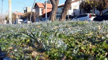Heladas y frío extremo en La Plata: anuncian mínimas de hasta 2°C durante toda la semana