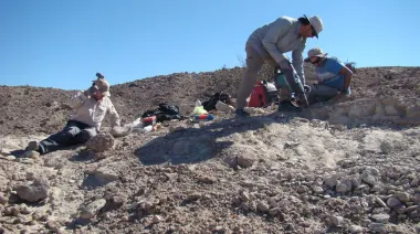 Investigadores de la UNLP participaron del descubrimiento de un depredador prehistórico que vivió antes que los dinosaurios