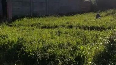 A un año de la ordenanza, los loteos ilegales siguen siendo un problema en La Plata