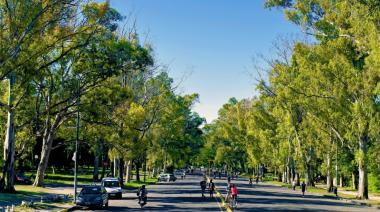 Pronóstico del tiempo en La Plata: tras el frío y la niebla, esperan máximas de hasta 20°C esta semana