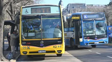 Concejo Deliberante de La Plata: la licitación que puede cambiar los colectivos