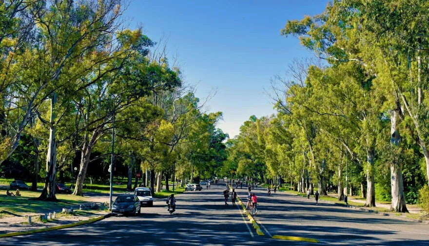 La Municipalidad evalúa cerrar el Bosque de La Plata por las noches para mejorar la seguridad
