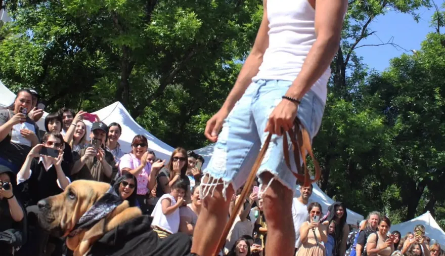 Desfile de mascotas gratis en La Plata: cuándo es y todo lo que habrá