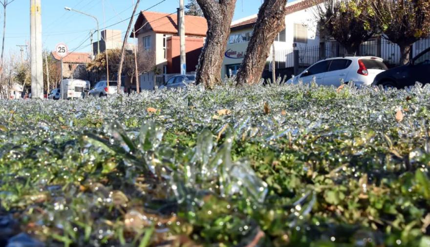 Heladas y frío extremo en La Plata: anuncian mínimas de hasta 2°C durante toda la semana