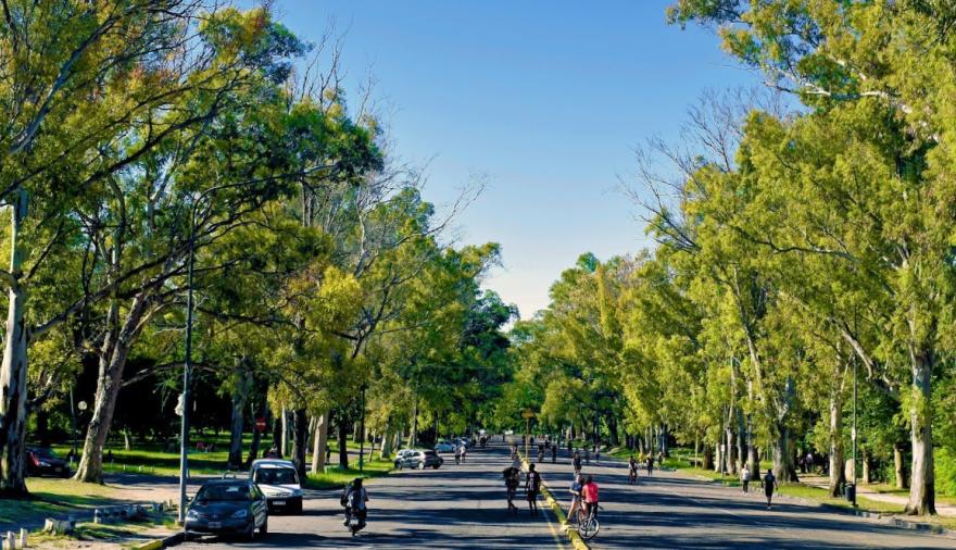 Pronóstico del tiempo en La Plata: tras el frío y la niebla, esperan máximas de hasta 20°C esta semana
