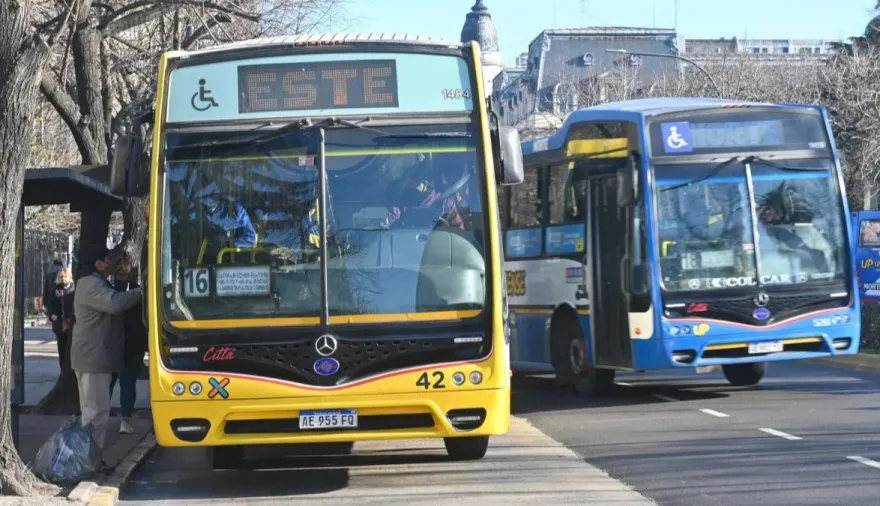 Concejo Deliberante de La Plata: la licitación que puede cambiar los colectivos