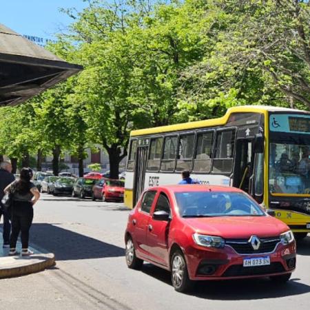 La Plata: arranca el debate por la renovación del transporte público con más micros y nuevos recorridos