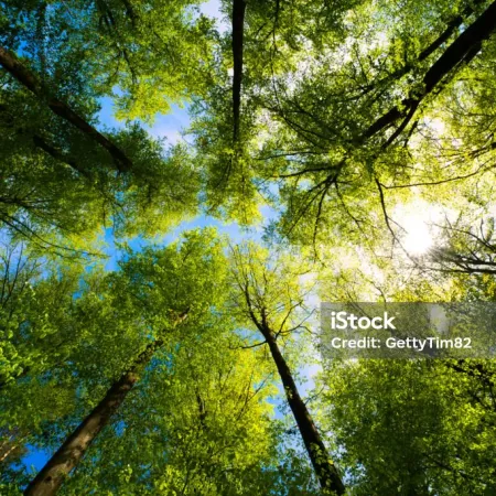 Viento del este en La Plata durante casi toda la semana: cómo afectará al clima en la región