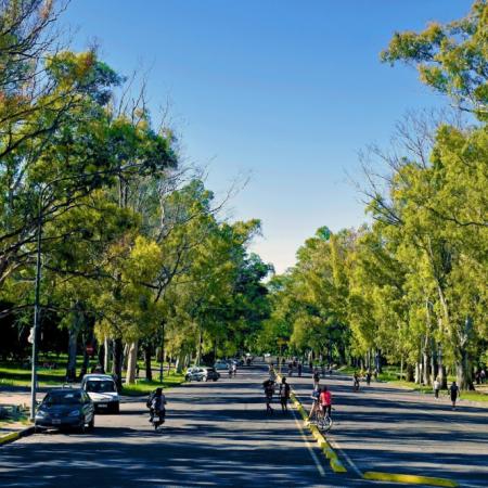 Clima en La Plata: jueves otoñal con 26°C y sin lluvias