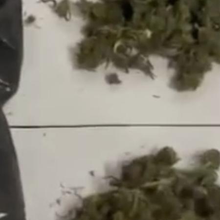 La Plata: demoraron a dos adolescentes tras encontrar 200 gramos de marihuana en una mochila