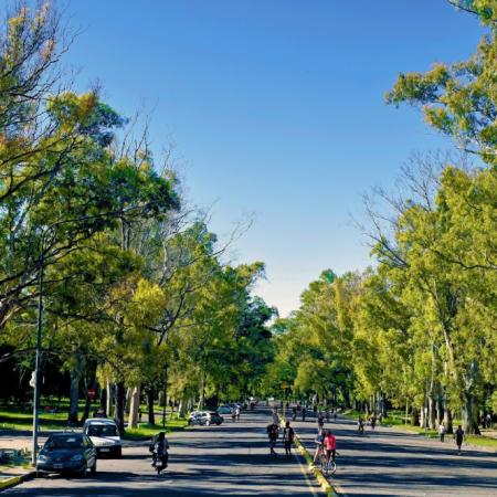 Clima en La Plata: viernes agradable, sábado estable y domingo con viento fuerte