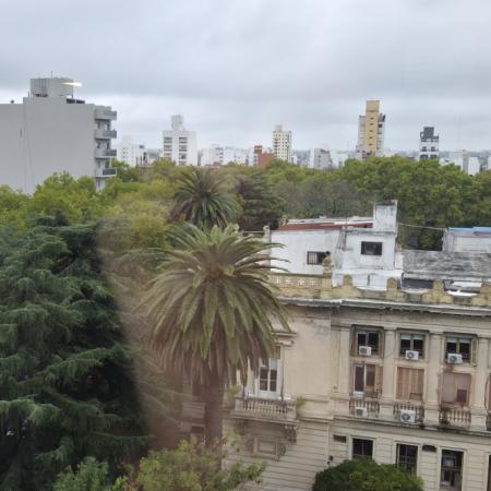 Afloja el frío en La Plata: cómo estará el clima y alerta por niebla en los próximos días