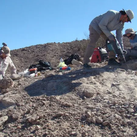 Investigadores de la UNLP participaron del descubrimiento de un depredador prehistórico que vivió antes que los dinosaurios