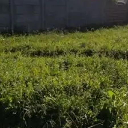 A un año de la ordenanza, los loteos ilegales siguen siendo un problema en La Plata