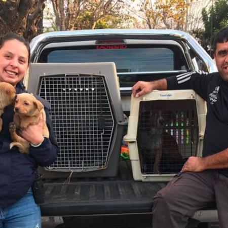 Rescataron a cuatro perros durante un allanamiento por maltrato animal en el barrio Hipódromo de La Plata