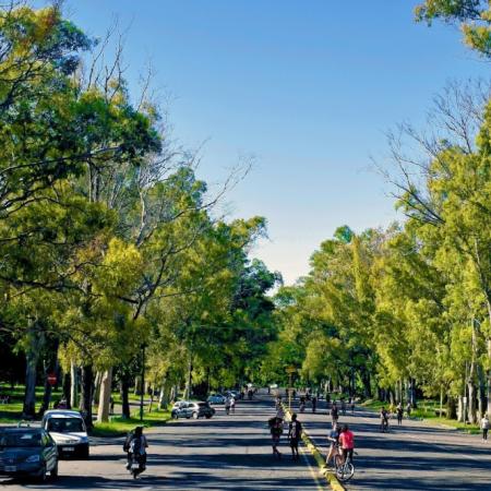 Pronóstico del tiempo en La Plata: tras el frío y la niebla, esperan máximas de hasta 20°C esta semana