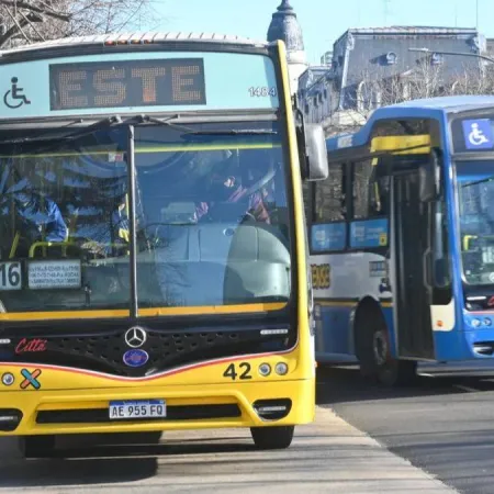 Concejo Deliberante de La Plata: la licitación que puede cambiar los colectivos