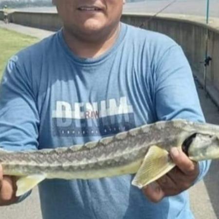 Alerta por esturiones en Punta Lara: científicos piden a pescadores que colaboren con la investigación